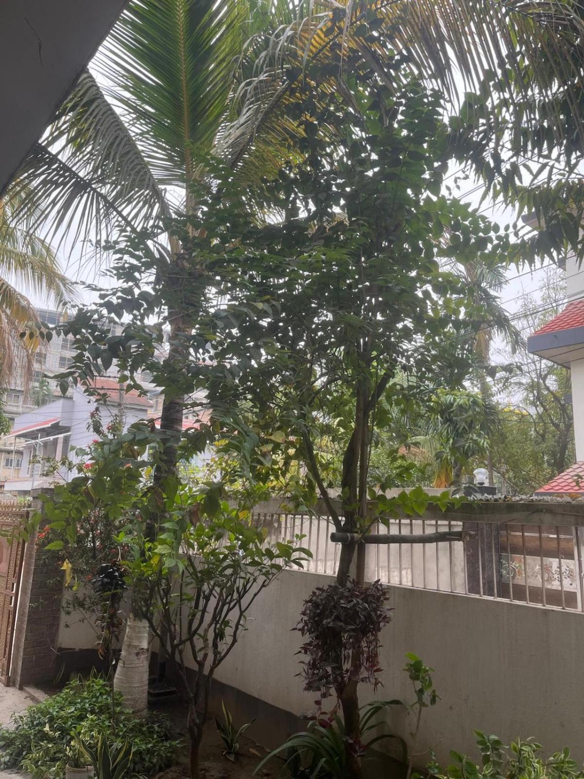 Amazing Homestay Guwahati Dış mekan fotoğraf