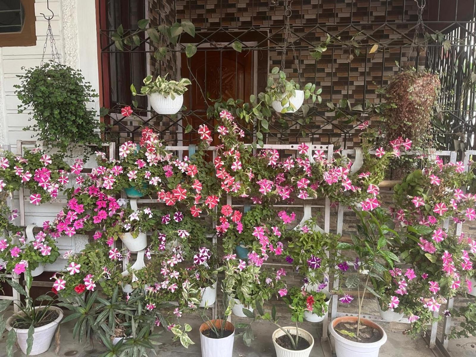 Amazing Homestay Guwahati Dış mekan fotoğraf