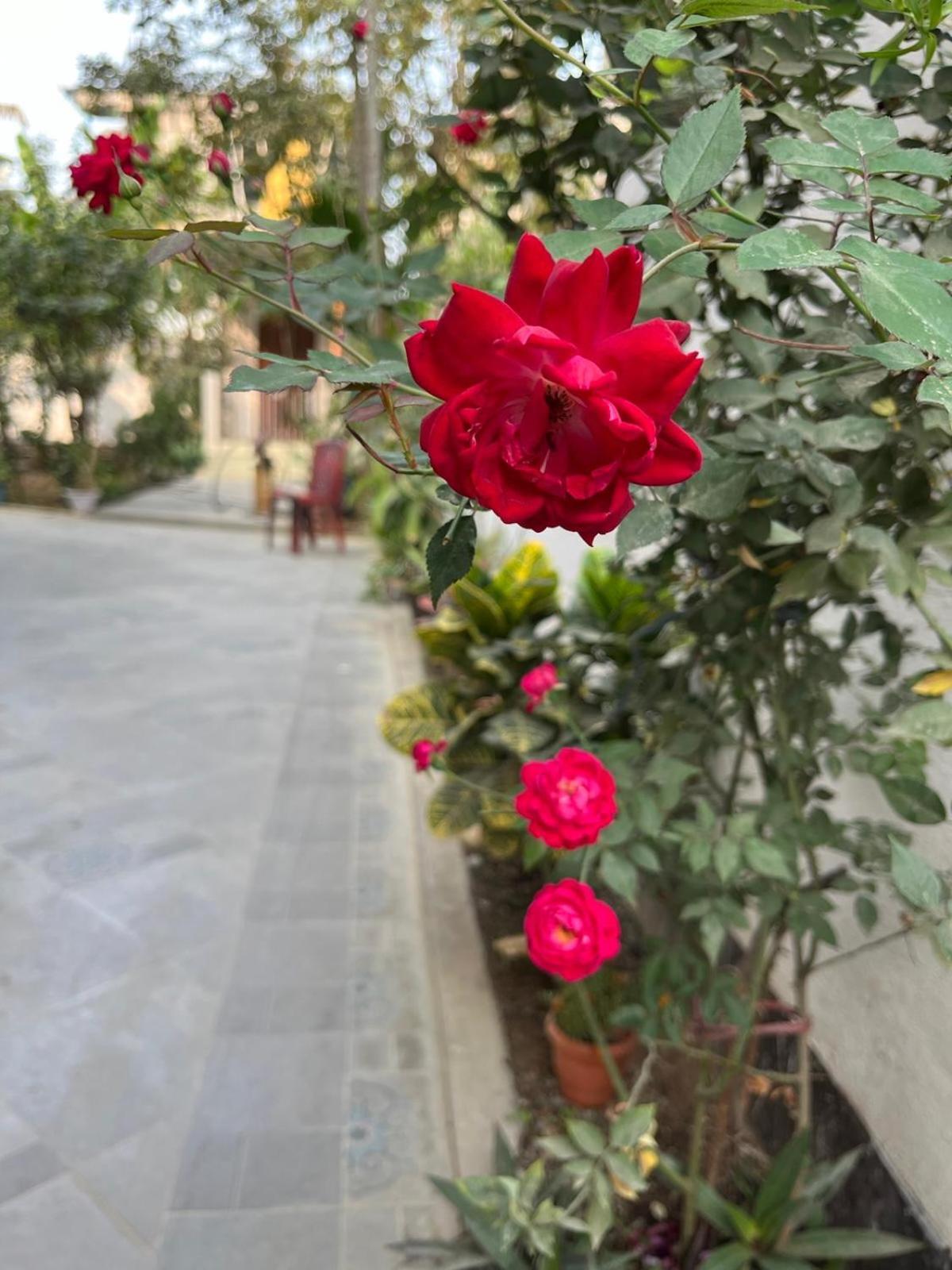 Amazing Homestay Guwahati Dış mekan fotoğraf