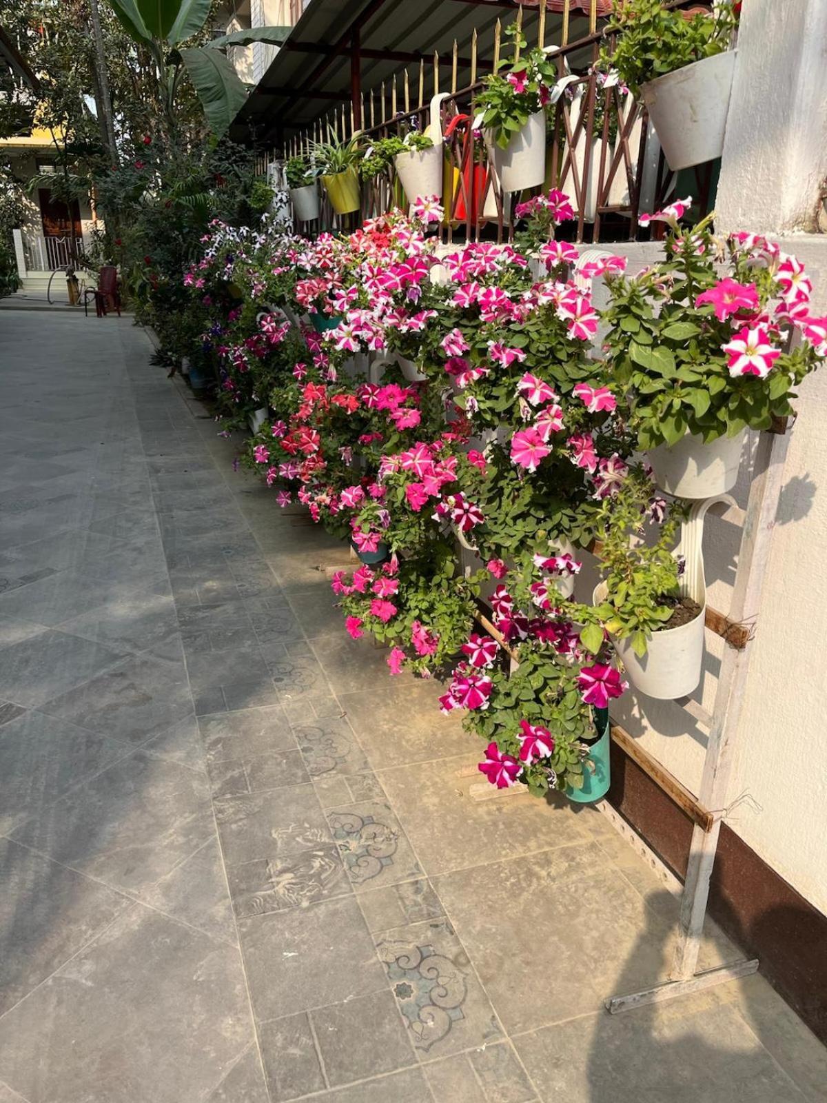 Amazing Homestay Guwahati Dış mekan fotoğraf